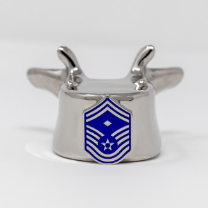 Air Force NCO Backbone - First Sergeant - E-8