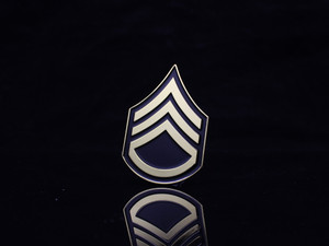 ALC, SSG, E6, NCO, Backbone