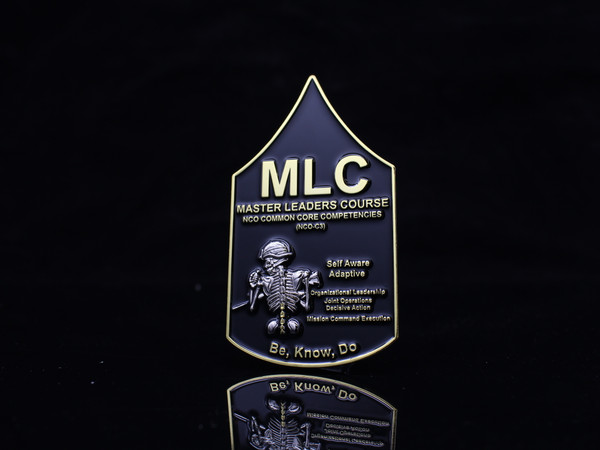 MLC, MSG, E8, NCO, Backbone