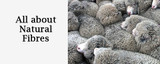 All about Natural fibres
