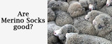 Are Merino Socks Good?