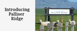 Introducing Palliser Ridge 