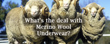 What's the deal with merino wool underwear?