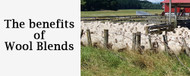 The Benefits of Wool Blends