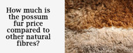 How much is the possum fur price compared to other natural fibres?