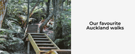 Popular Auckland Walks