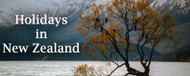 Holidays in New Zealand
