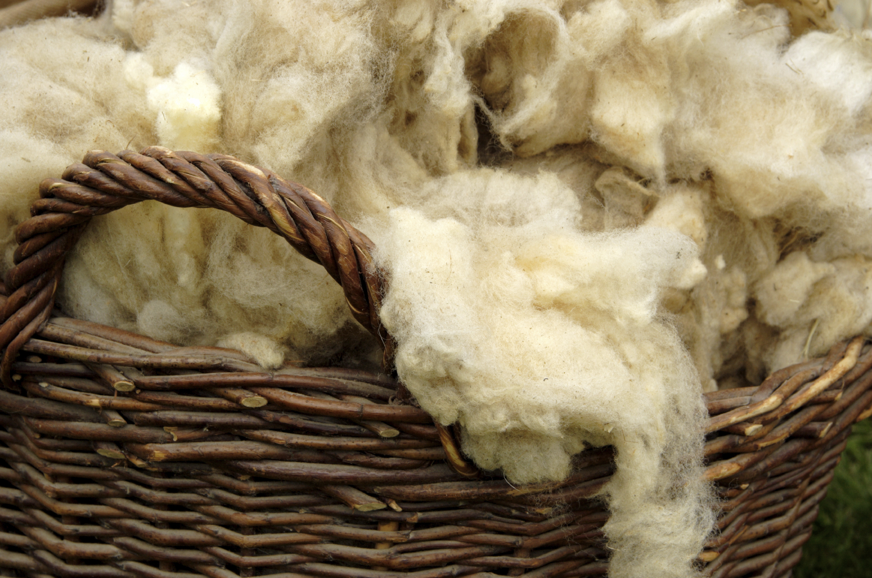 The Benefits of Wool Blends New Zealand Natural Clothing LTD