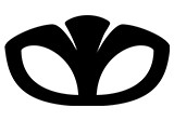 Daewoo