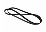 Serpentine Belt