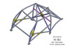 Custom Cages Ford Mustang Notchback International T45 roll cage kit