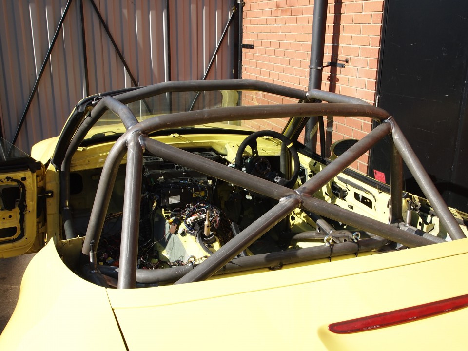 Custom Cages BMW Z3 Roadster - Multipoint [CDS]