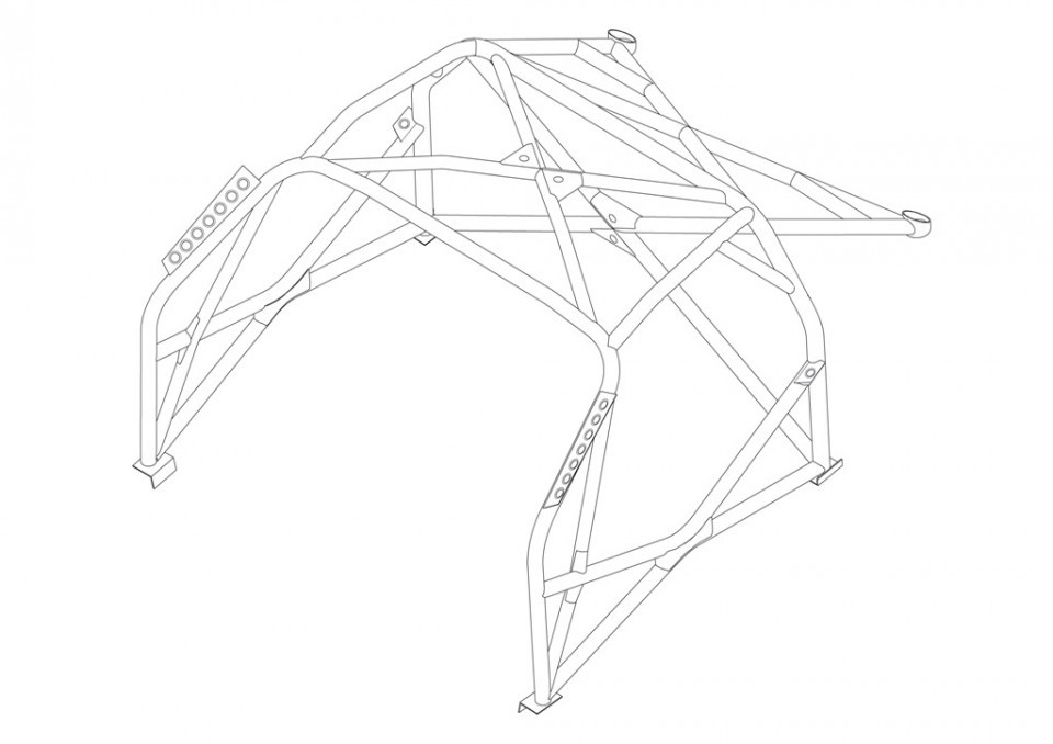 Custom Cages Nissan 350Z - Multipoint  [T45]