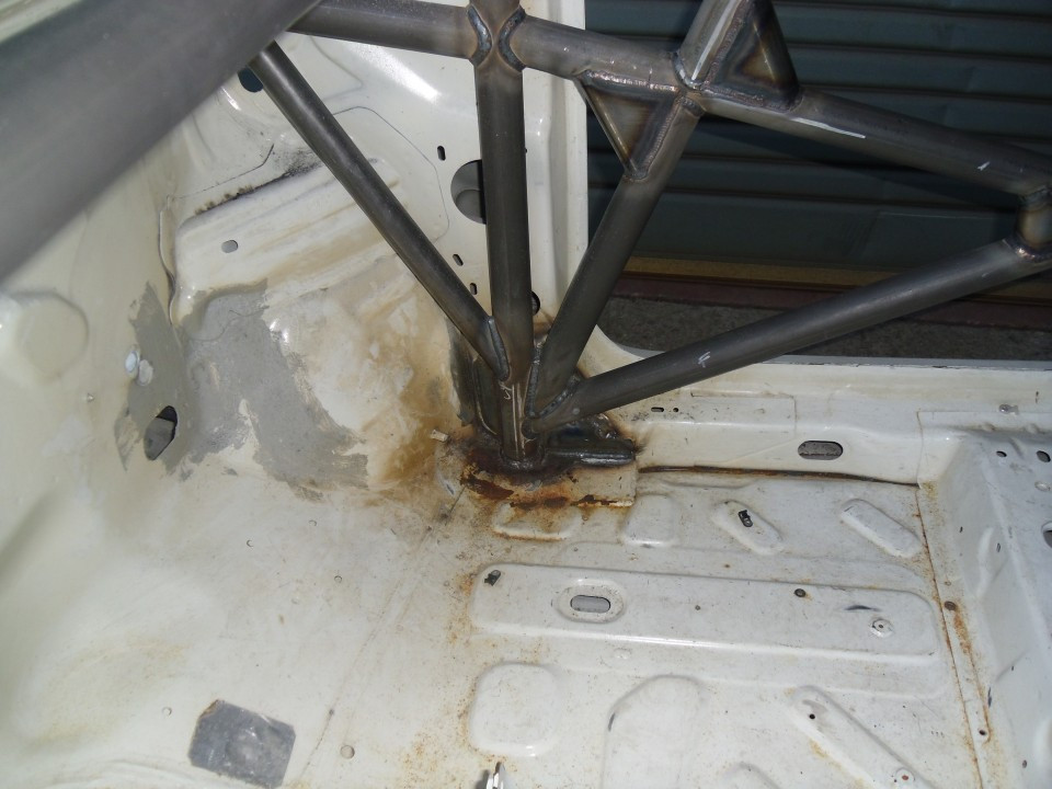 Custom Cages Fiat 500 (New Gen) - Multipoint  [T45]