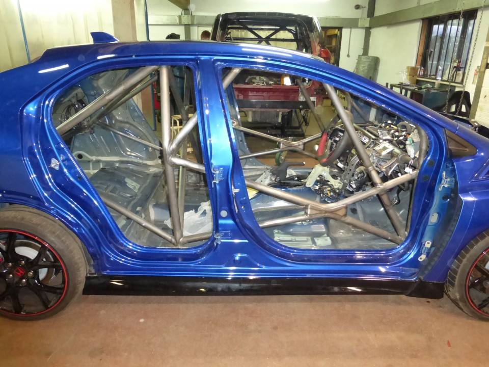 Custom Cages Honda Civic FK2 - International Multipoint [T45]