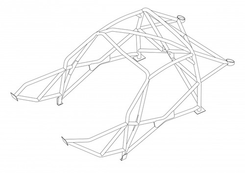 Custom Cages BMW Z4 Coupe - Multipoint [T45]