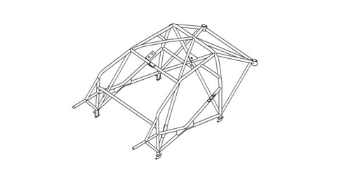 Custom Cages Honda Civic FK2 - International Multipoint [T45]