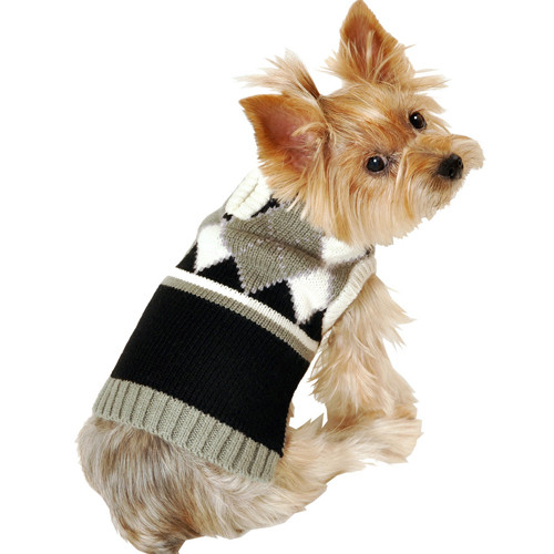 grey dog sweater