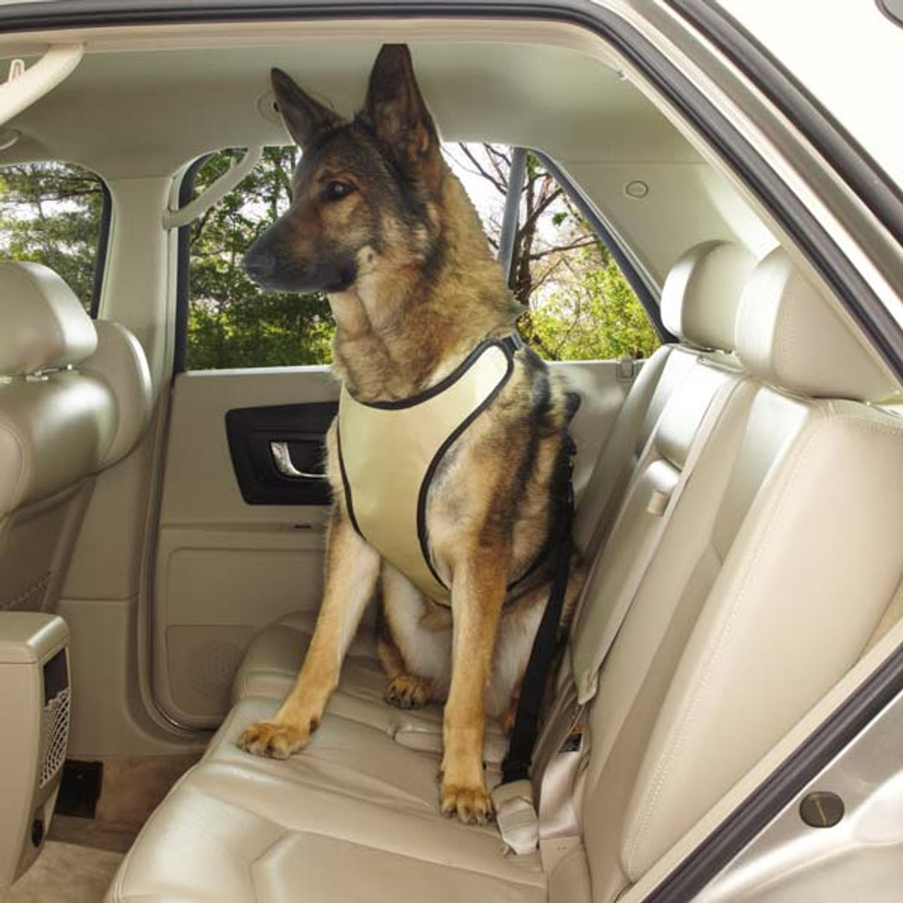 vehicle harness for dogs