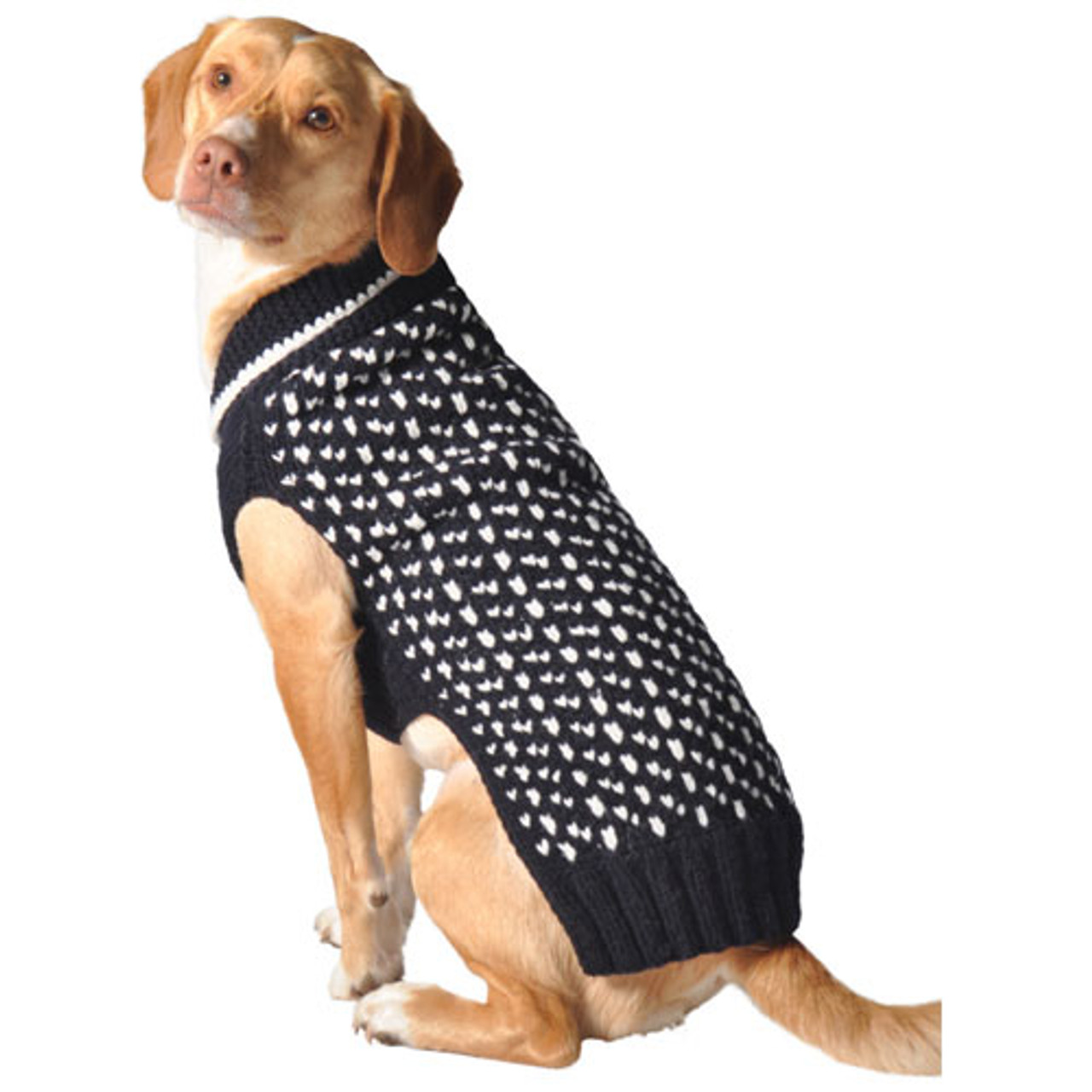 navy dog sweater