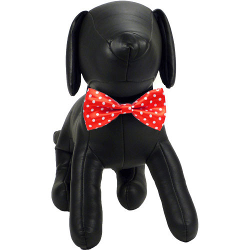 bow tie puppy