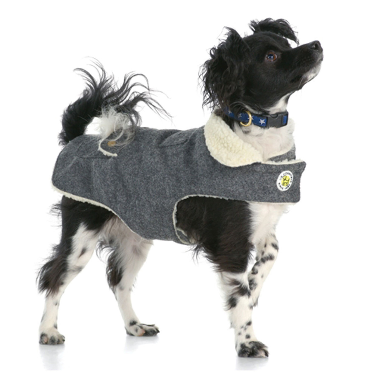 wool dog coat