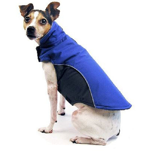 blue dog jacket