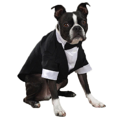 Yappy Ever After Tuxedo Model
