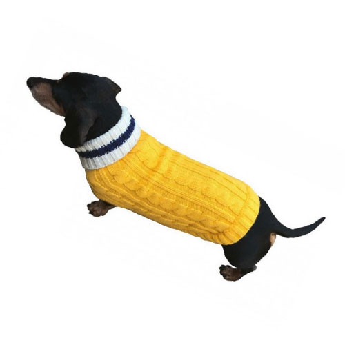 preppy dog sweaters