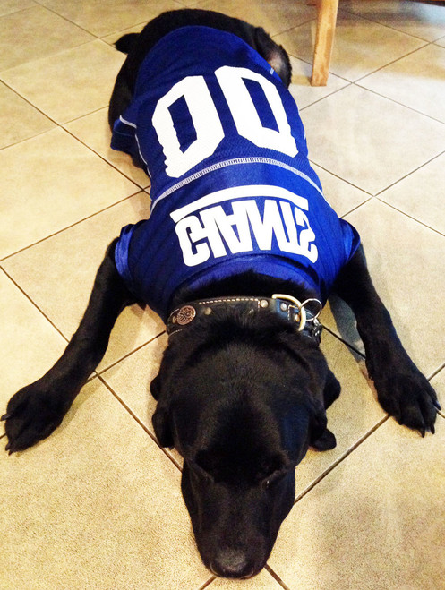 ny giants dog sweater