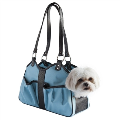 Fuchsia Metro 2 Pet Carrier