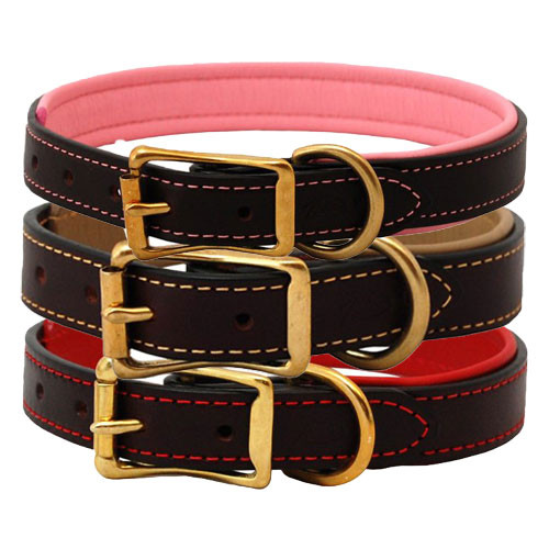 burgundy leather dog collar