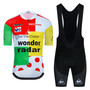 Wonder Radar La Vie Claire Retro Cycling Jersey Set