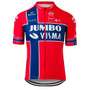 Jumbo Visma Pro Team Norwegian Cycling Jersey Set