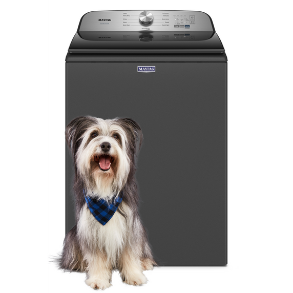 Maytag® Pet Pro Top Load Washer - 5.4  cu. ft. MVW6500MBK