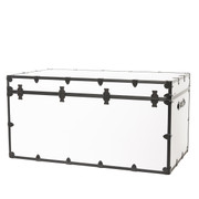 Rhino Jumbo Trunk back view with black trim