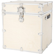 Naked Rhino Cube Trunk 18