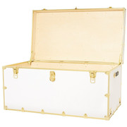 Colossus Rhino Trunk Open With Brass Trim