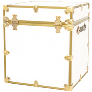 Rhino Classic Cube Trunk - Quick Ship