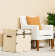 Rhino Naked Cube Trunk