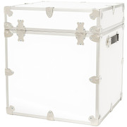 College Dorm Cube White Trunk Back