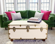 Rhino Alabaster Luxury Faux Leather Coffee Table Trunk Front