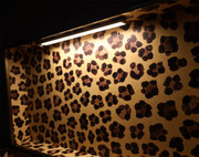 Rhino Trunk Interior light Soft Tone Close Up