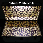 Rhino Trunk Interior light natural white mode