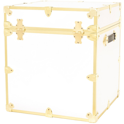 Rhino Cube Trunk back view with brass trim