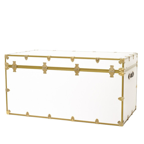 Colossus Rhino Trunk Back With Antique Brass Trim