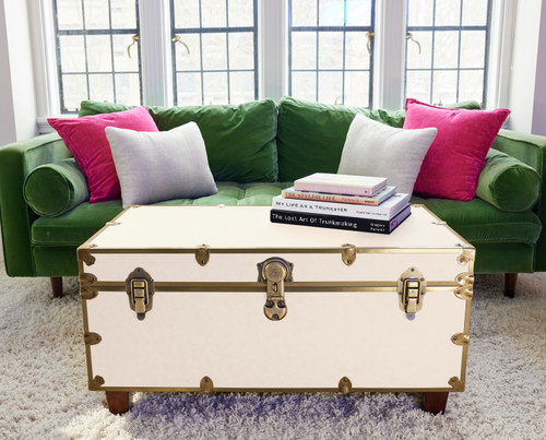 Rhino Alabaster Luxury Faux Leather Coffee Table Trunk Front