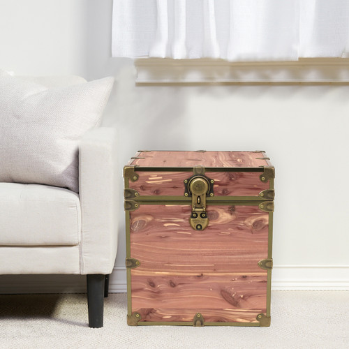 Rhino Knotty Cedar Cube Trunk Chest With Antique Brass In Living Room