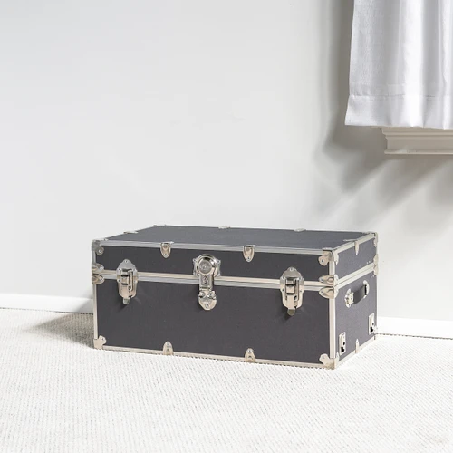 Small Rhino Trunk in a living room