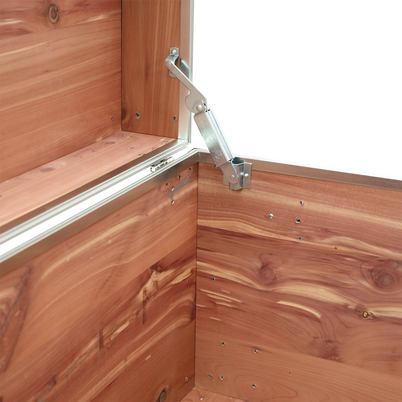Rhino Large Knotty Cedar Trunk